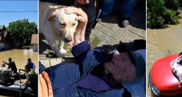 (ВИДЕО) Солзите сами течат …