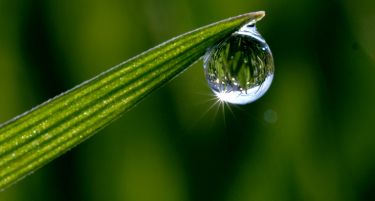 Земјоделството е жедно за вода!