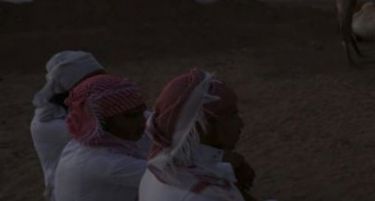 (ФОТО) Вака се гледа светско првенство во пустина
