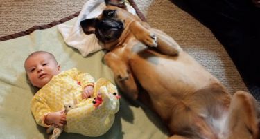 (ВИДЕО) Како изгледа разговор меѓу пес и бебе?