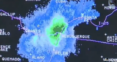 (ВИДЕО) Инвазија од скакулци – појава која ги збуни и метеоролозите!