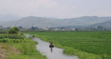 Најголмиот извозник на ориз – Тајланд