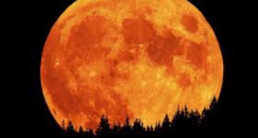 (ВИДЕО) Појава која се случува еднаш на 20 години – можете да ја видите ДЕНЕСКА!