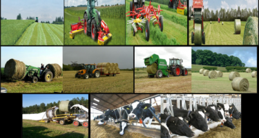 Биоземјоделството зема широк замав