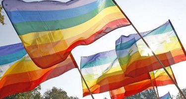 Ирска гласа на референдум за хомосексуалните бракови