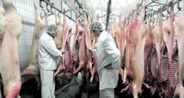 Вонредни инспекции на храната заради бактеријата листерија