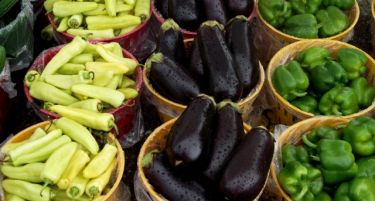 Кој нема да извезе во Русија, ќе добие пари