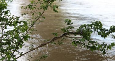 На Србија и се заканува еколошка катастрофа – тешки метали во реката Јадар!