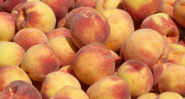 (ВИДЕО) Шпански земјоделци го запалија знамето на ЕУ