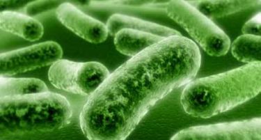 Уште едно лице заболено од листерија, „Екстра Меин“ бара од иснституциите да се фатат за работа