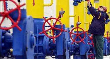 Европската унија се токми да издржи девет месеци без руски гас