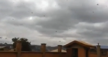 (ВИДЕО) Наезда која може да предизвика сиромаштија и глад