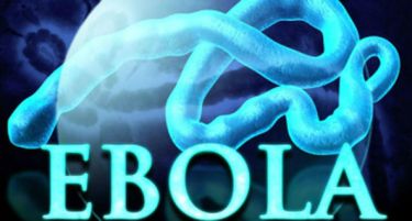 СЗО: Од ебола досега починале 4500 лица!