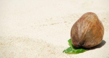 Нова надеж: Кокосово масло лечи рак на дебелото црево?!