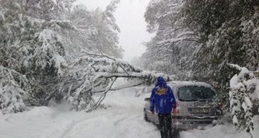 (ВИДЕО) ДОЖДОВИ, СНЕГ, СИЛЕН ВЕТЕР: Бугарија пак се бори со елементарна непогода!