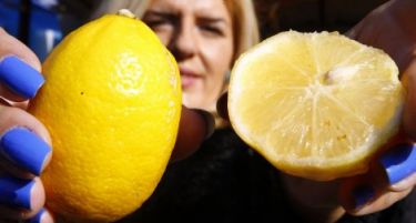 РЕГИОНОТ НА НОЗЕ: Се проверуваат лимоните увезени од Турција!