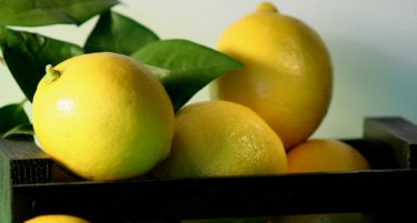 Зошто поефтини лимонот за 40 одсто во однос на септември?!