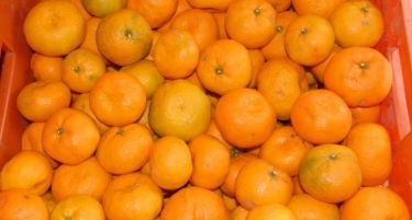 Не фрлајте ја кората од мандарината, може за ве спаси од кашлица и разни болести!