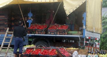 Во обид да го штити производството, Владата задоцни со помошта за индустријата?