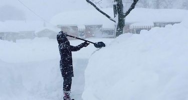 (ВИДЕО) САД се смрзнуваат на температури под нулата, студот однесе четири животи!