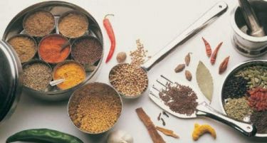 БИЛКИ: Кога да ги берете и сушите?