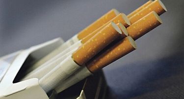 ТУТУН БИЗНИС: Откупувачите ги намалија договорите во финишот на бербата!