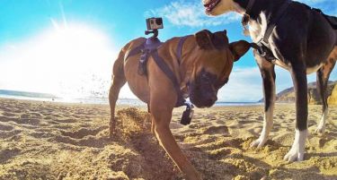 „GoPro“ во проблеми, ЕПЛ патентираше нови камери!