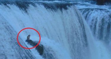 (ФОТО) ОД ЛУЃЕТО НЕМА ФАЈДЕ: Пес со денови заробен на водопадите на реката Уна