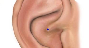ЗНАЕВТЕ ЛИ ЗА ОВА: Ако ја притиснете оваа точка во увото ќе се ослободите од целиот стрес!