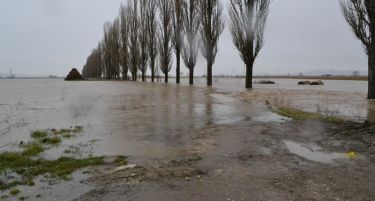ИЗГУБЕНА ГОДИНА ЗА АГРАРОТ: Поплавите го уништија земјоделскиот род, но и квалитетот на почвата!