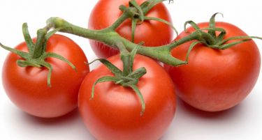 Владата исплати 130 милиони денари субвенции за градинарство