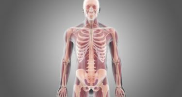 (ВИДЕО) Запознајте го доктор Франкенштајн: Овој хирург планира да пресади човечка глава!