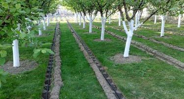 Јавен повик за доделување финансиска поддршка за систем „капка по капка“