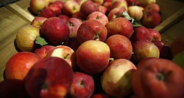 Русите ги губат нервите, стоп за српското овошје?