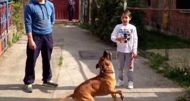 (ВИДЕО) Сиромашно семејство одби порше: Го пронајдовме кучето, ама не сакаме награда!