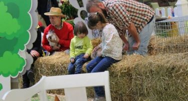 Започнува хуманитарниот базар: “Од децата за децата” во Скопје Сити Мол