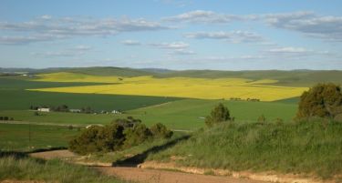 30 компании заинтересирани за закуп на земјиштето кое му припаѓаше на Субрата Рој