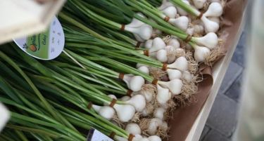 ИНВЕСТИЦИИ: Огрански зеленчук и овошје ќе извезуваме на европскиот пазар