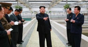 Северна Кореја пред ризик од недостиг на храна поради сушата