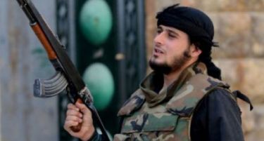 Босански џихадисти создаваат структури во Западен Балкан