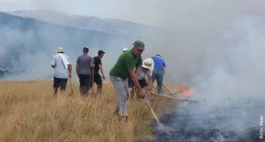 (ФОТО-ВИДЕО) Пожари беснеат во Далмација, уништени куќи, евакуирано населението!