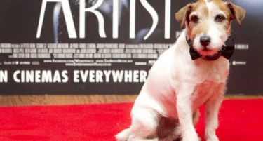 Почина холивудското куче-актер  Уги