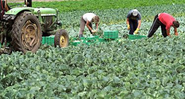 И земјоделците ќе земаат старосна пензија