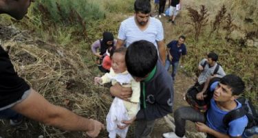 Мигрантите поминуваат организирано помеѓу Грција и Македонија