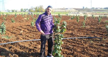 ЕСЕН Е ВРЕМЕ ЗА СТАРТ:  Профитабилен агробизнис со заработка од 6.000 до 7.000 евра!