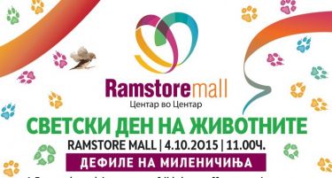 Да го одбележиме светскиот ден на животните во Ramstore