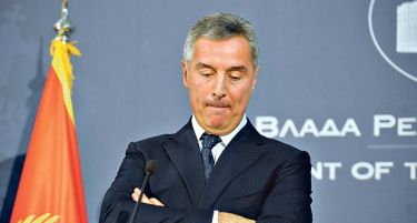 ДОСИЕ МИЛО ЃУКАНОВИЌ: Од пудлица на Милошевиќ до миленик на западот?!