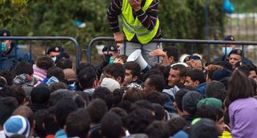 Словенија запре 2 000 имигранти, дочекани со кордон и кучиња!