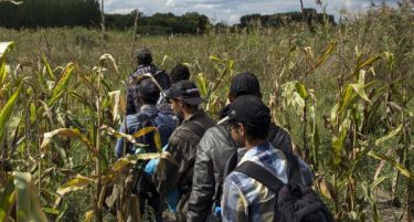 Активисти алармираа дека мигрантите се соочуваат со насилство во Бугарија