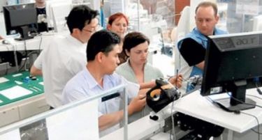 Тешко се наоѓа работа во малите градови